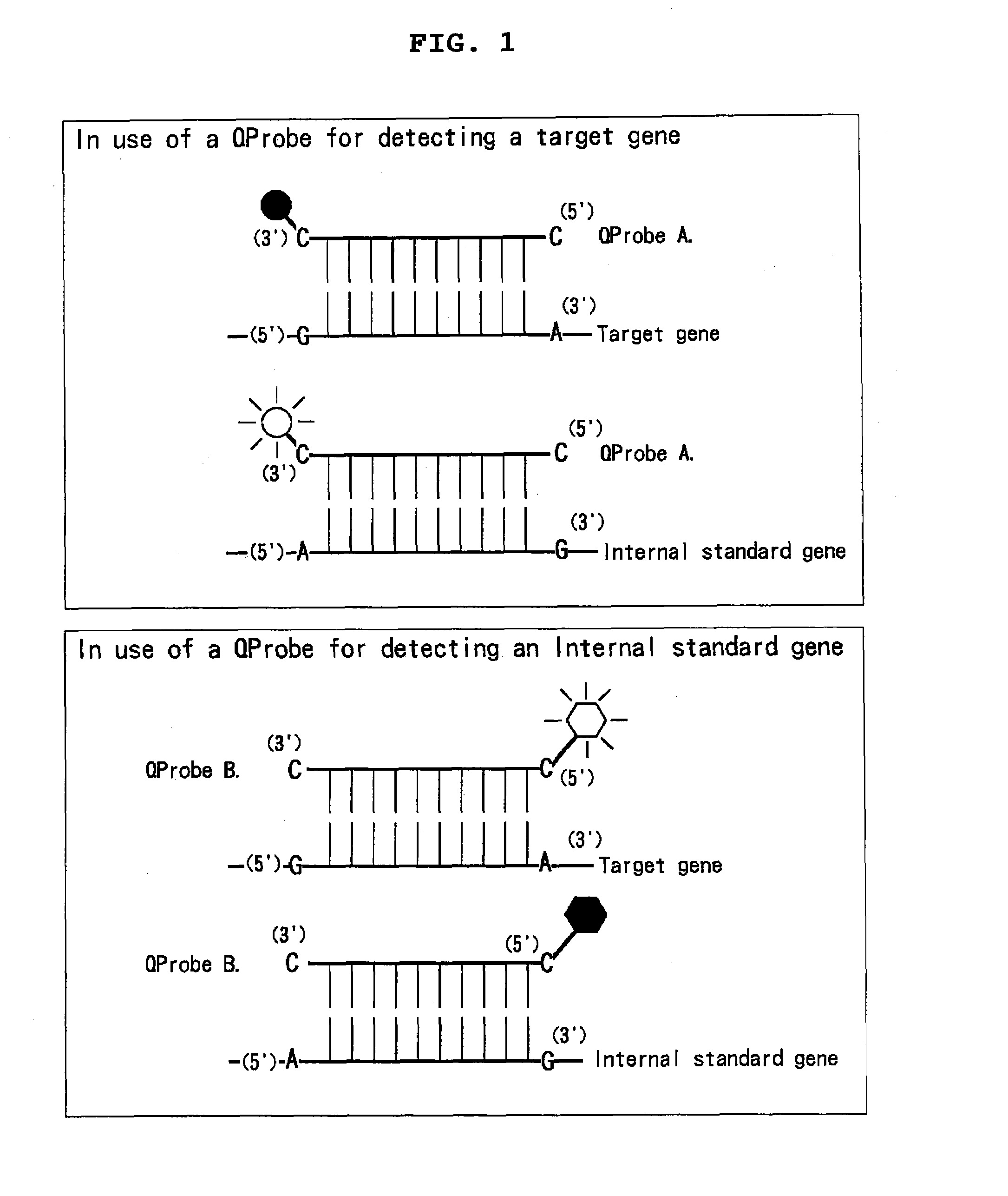 Novel mixtures for assaying nucleic acid, novel method of assaying nucleic acid with the use of the same and nucleic acid probe to be used therefor