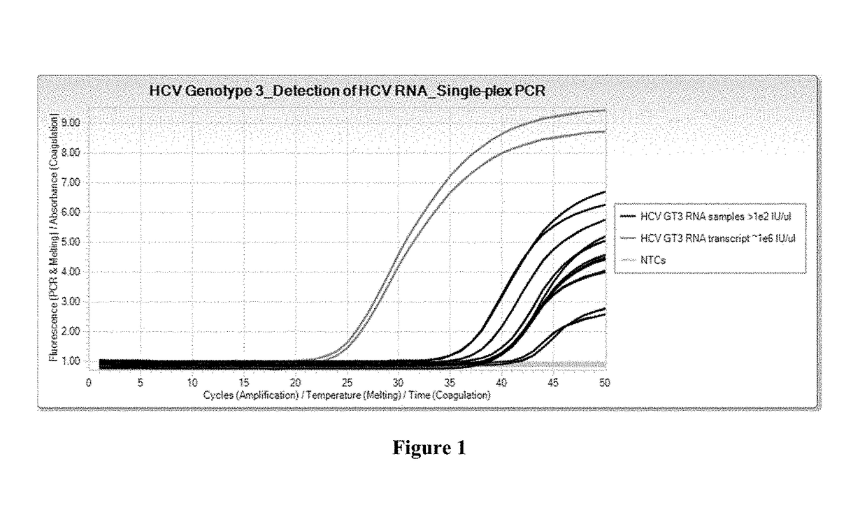 Compositions and methods for detection of hepatitis c virus genotype 3