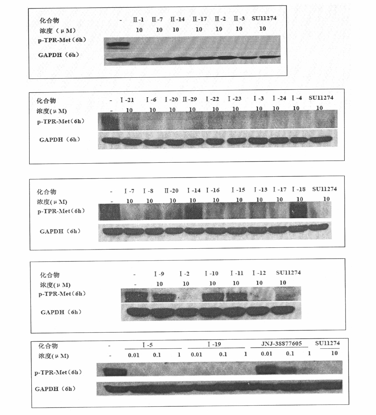 (1,2,4)-triazolo-(4,3-b) (1,2,4)-triazine compounds, as well as preparation method and use thereof