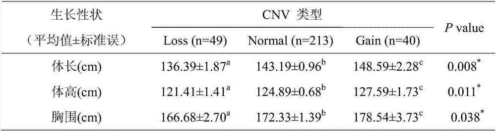 Method for aided detection of cattle growth characters through copy number variation (CNV) markers on KLF3genes and kit special for aided detection of cattle growth characters through copy number variation (CNV) markers on KLF3genes