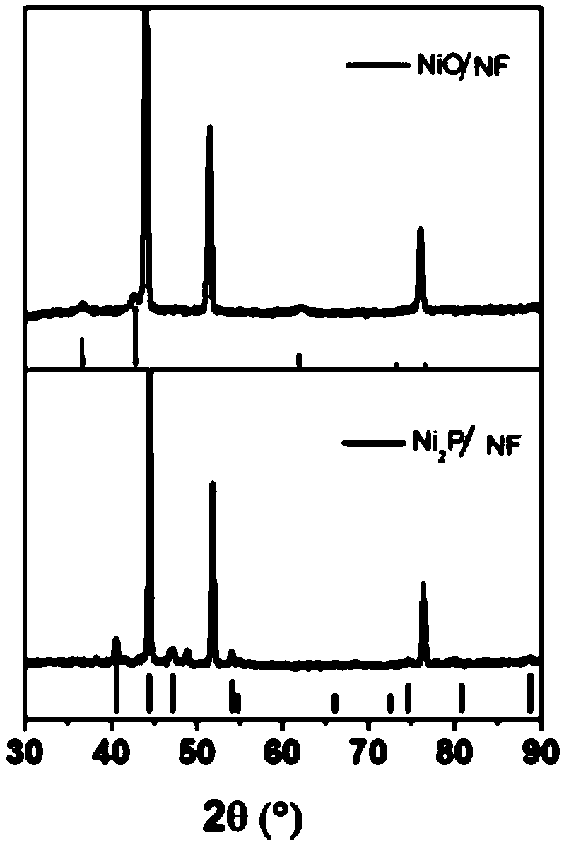 Preparation method of Ni2P-supported Ni-based catalyst, obtained catalyst and application thereof