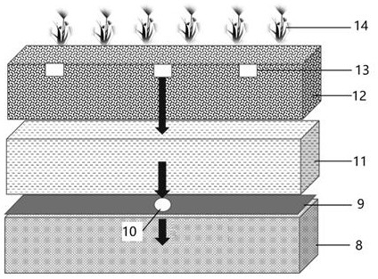 An ecological basket for purifying sewage