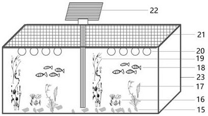 An ecological basket for purifying sewage
