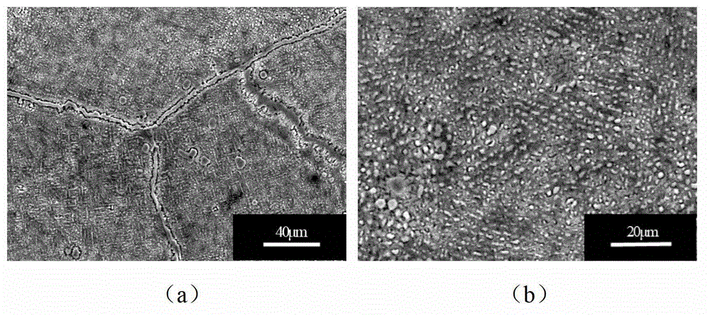 Novel tin-and-indium-containing multi-component cadmium-and-silver-free brazing filler metal