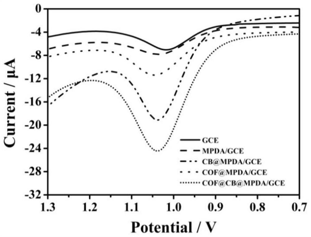 An electrochemical sensor for detecting ciprofloxacin and its detection method