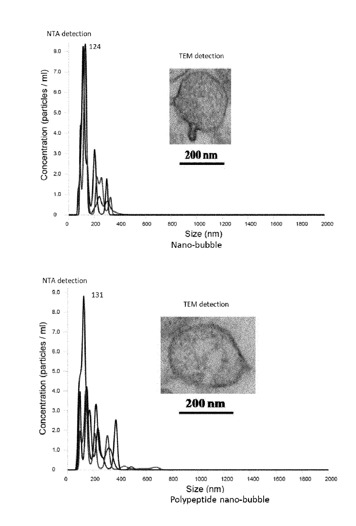 Polypeptide nano-bubbles and preparation method and application thereof