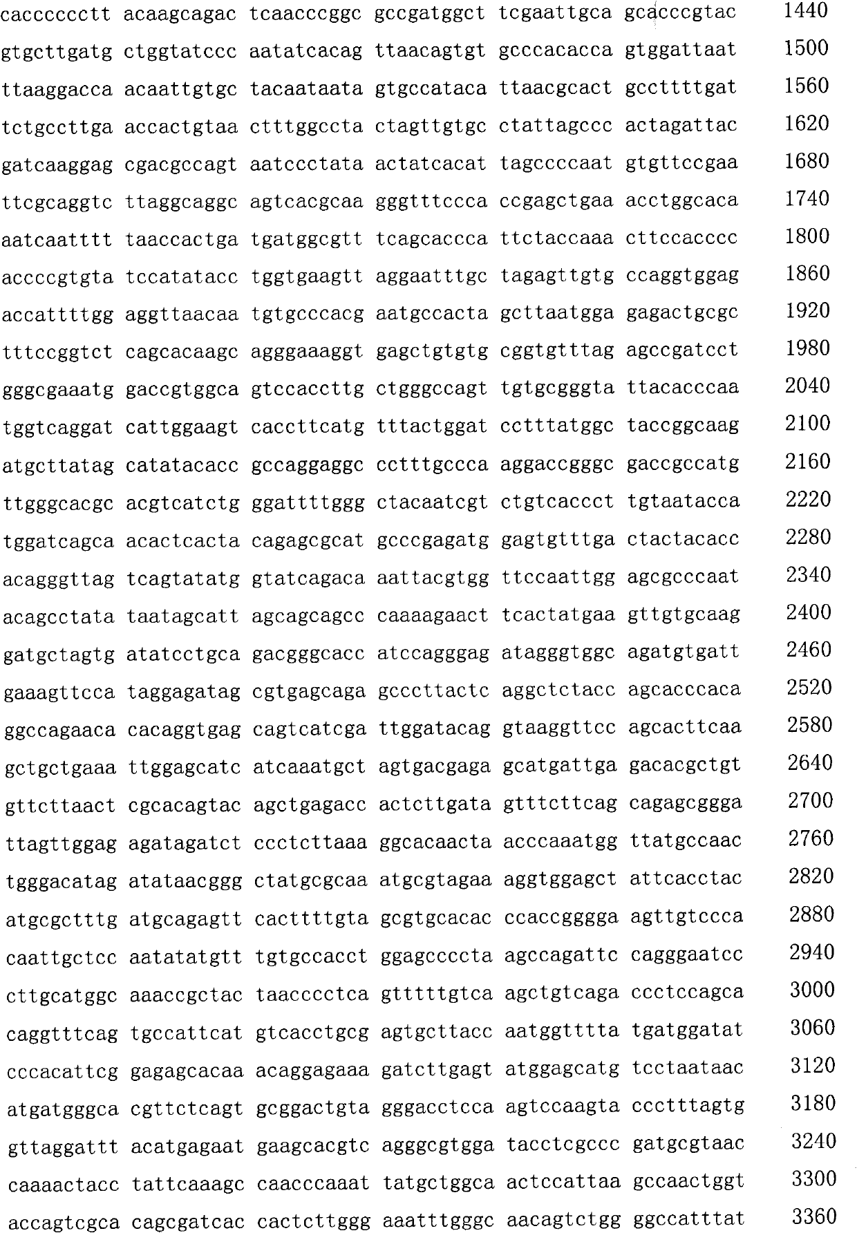 EV-71(Enterovirus 71) type viral plaque purification method