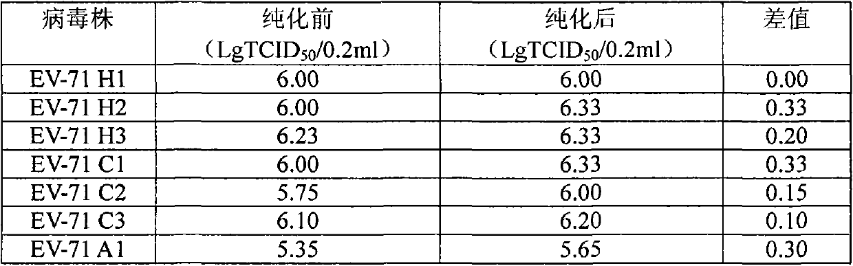 EV-71(Enterovirus 71) type viral plaque purification method