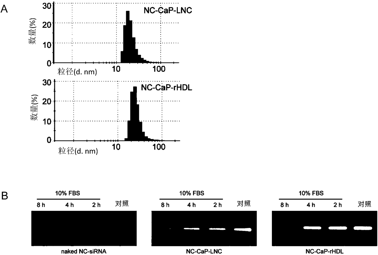 Solid-phase-core coating recombinant lipoprotein, preparation and applications thereof