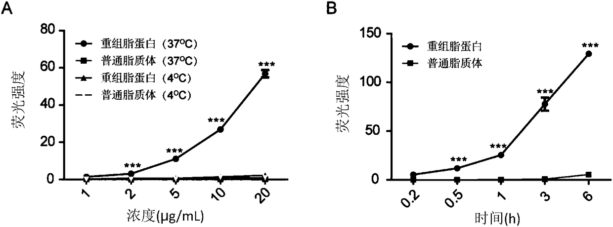 Solid-phase-core coating recombinant lipoprotein, preparation and applications thereof