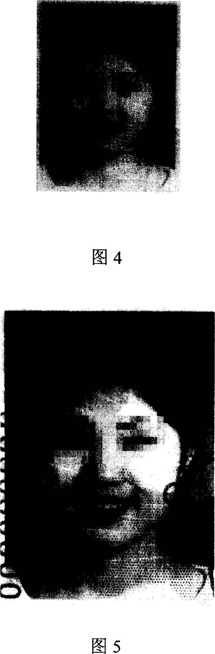 Method for personal or personalized video reading information loading protection for certifate and bill