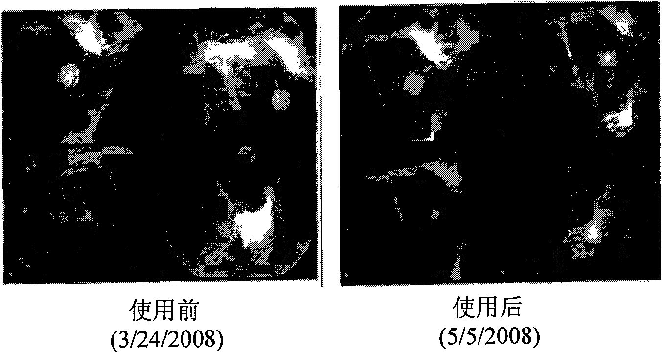 Point eye mask and preparation method and application thereof