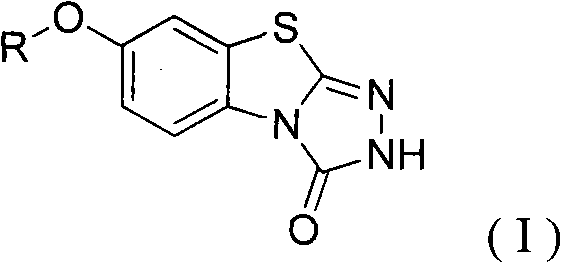 7-alkoxy-[1,2,4]triazolo[3,4-b]benzothiazol-3(2H)-one derivatives used as antiepileptic medicines and preparation method thereof