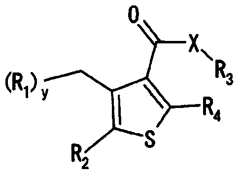 Aminoalkyl-substituted n-thienyl benzamide derivative
