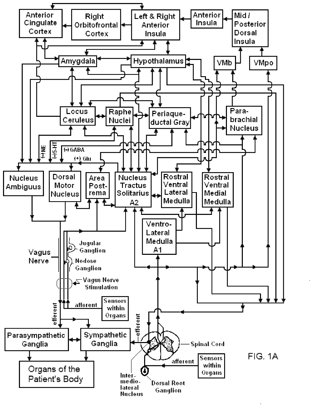 Vagal nerve stimulation for treating or preventing stroke or transient ischemic attack