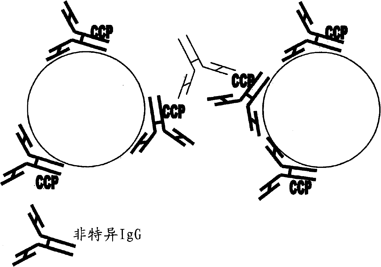 Assay method for antibodies against cyclic citrullinated peptide