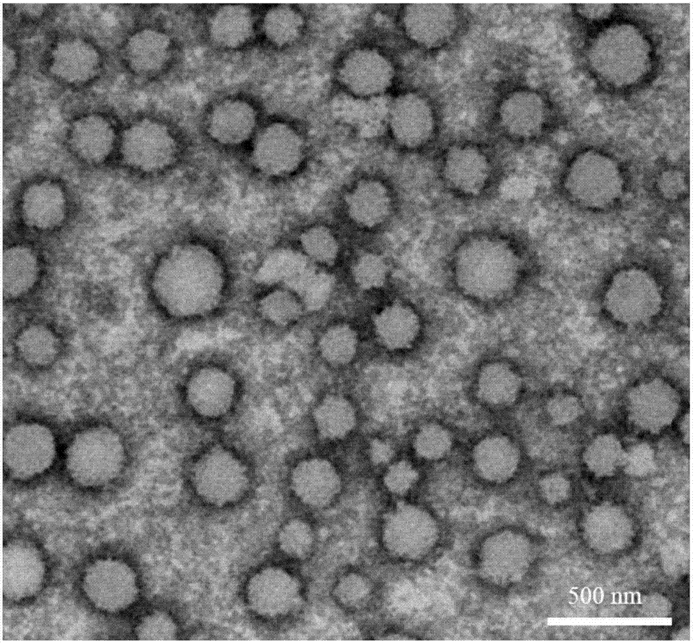 Imitated virus-structured high-polymer vesicle with target function and preparation and application thereof