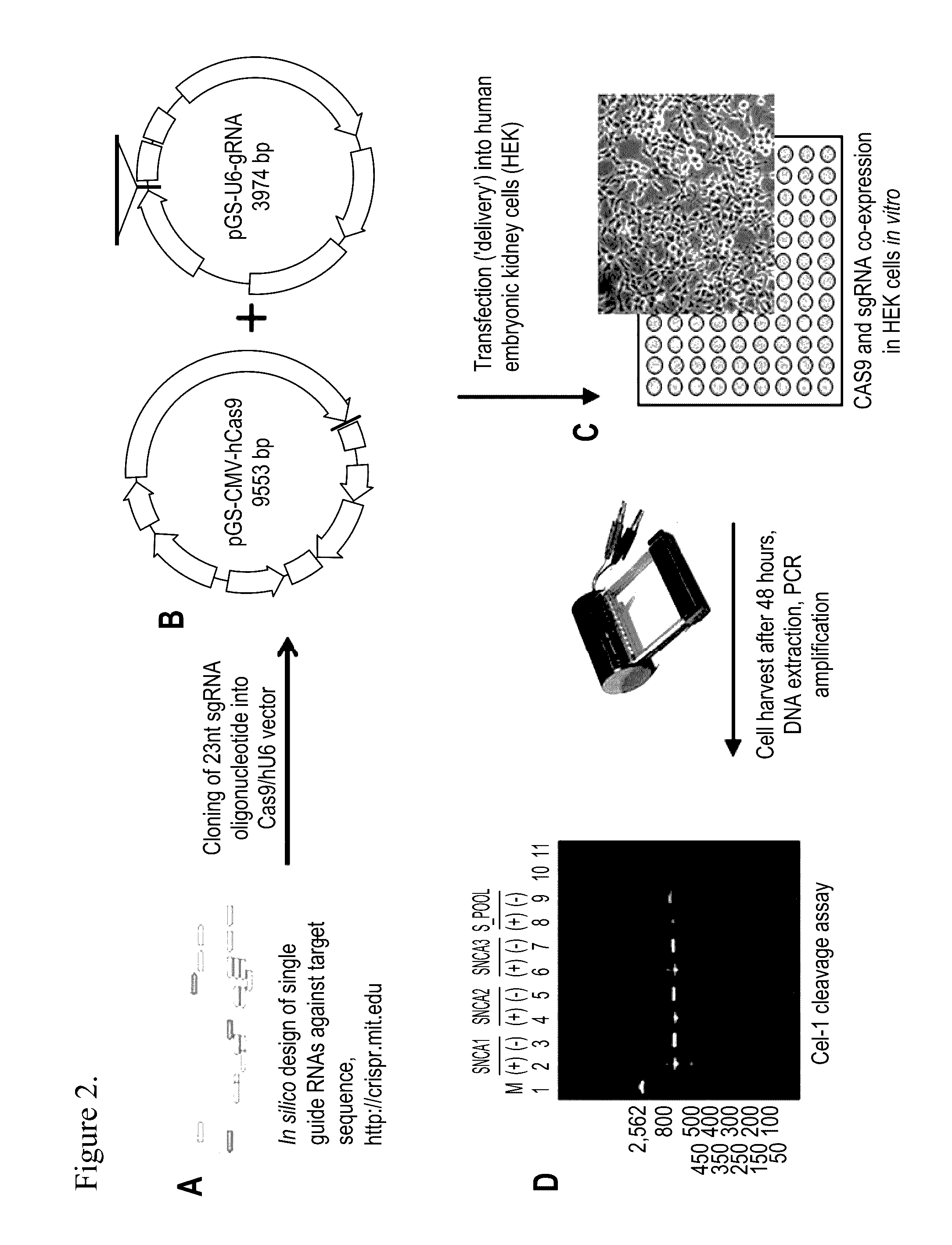 Compositions and methods for treatment of neurogenerative diseases