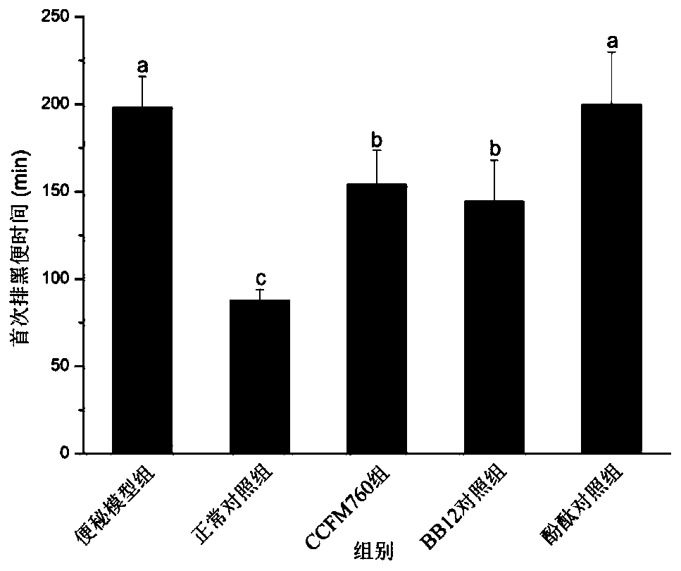 A strain of Bifidobacterium longum and its application