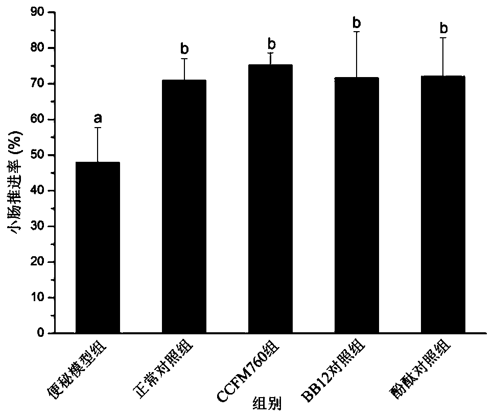 A strain of Bifidobacterium longum and its application