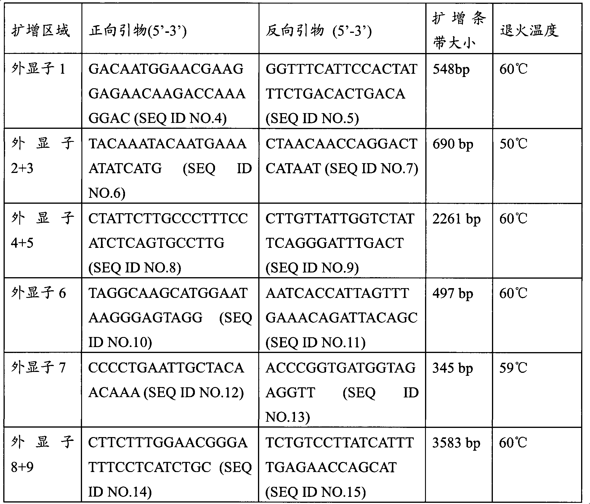 CYP2C9 gene segment comprising 1081C&gt;A, coded protein segment and application thereof