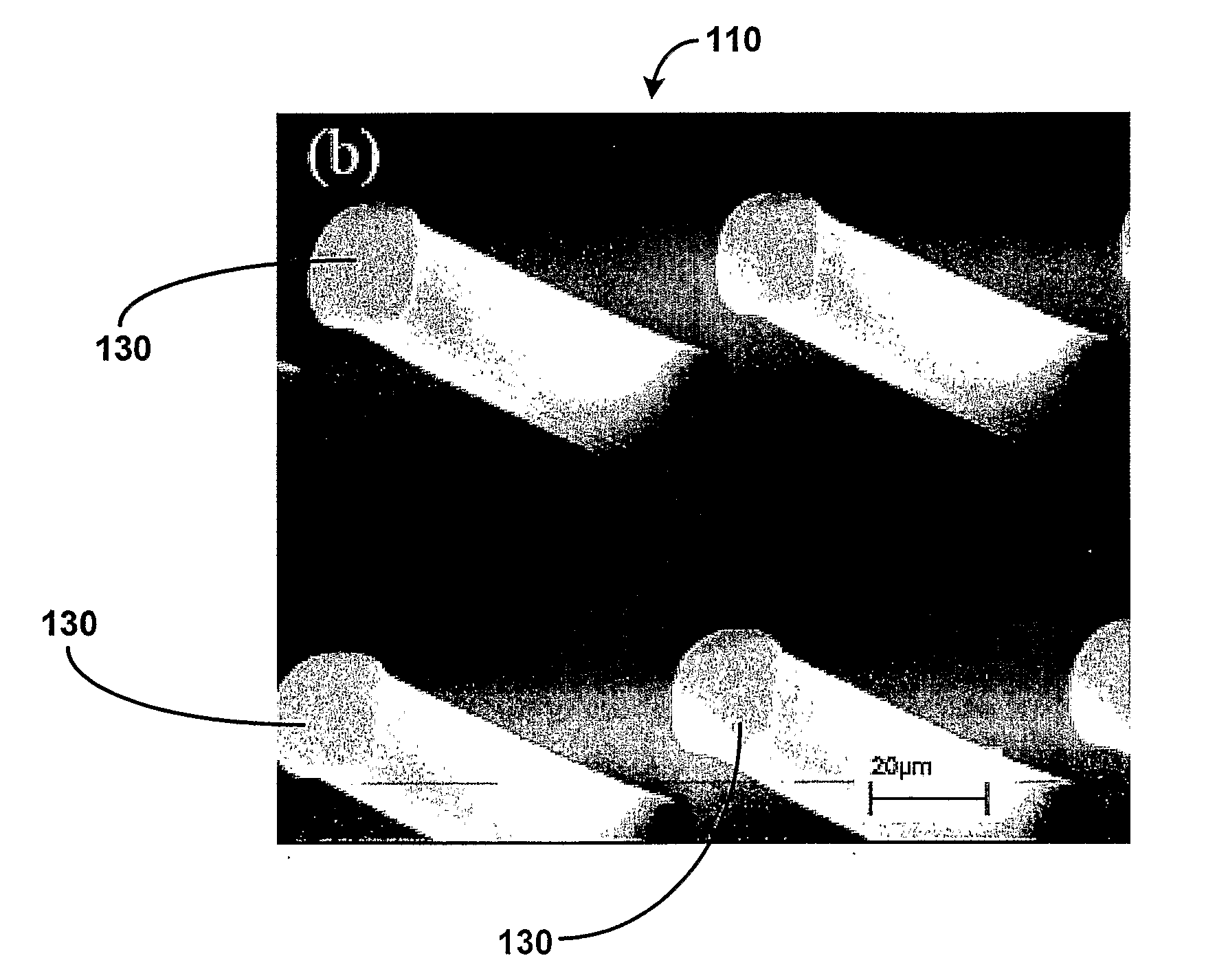 Aligned Carbon Nanotubes And Method For Construction Thereof