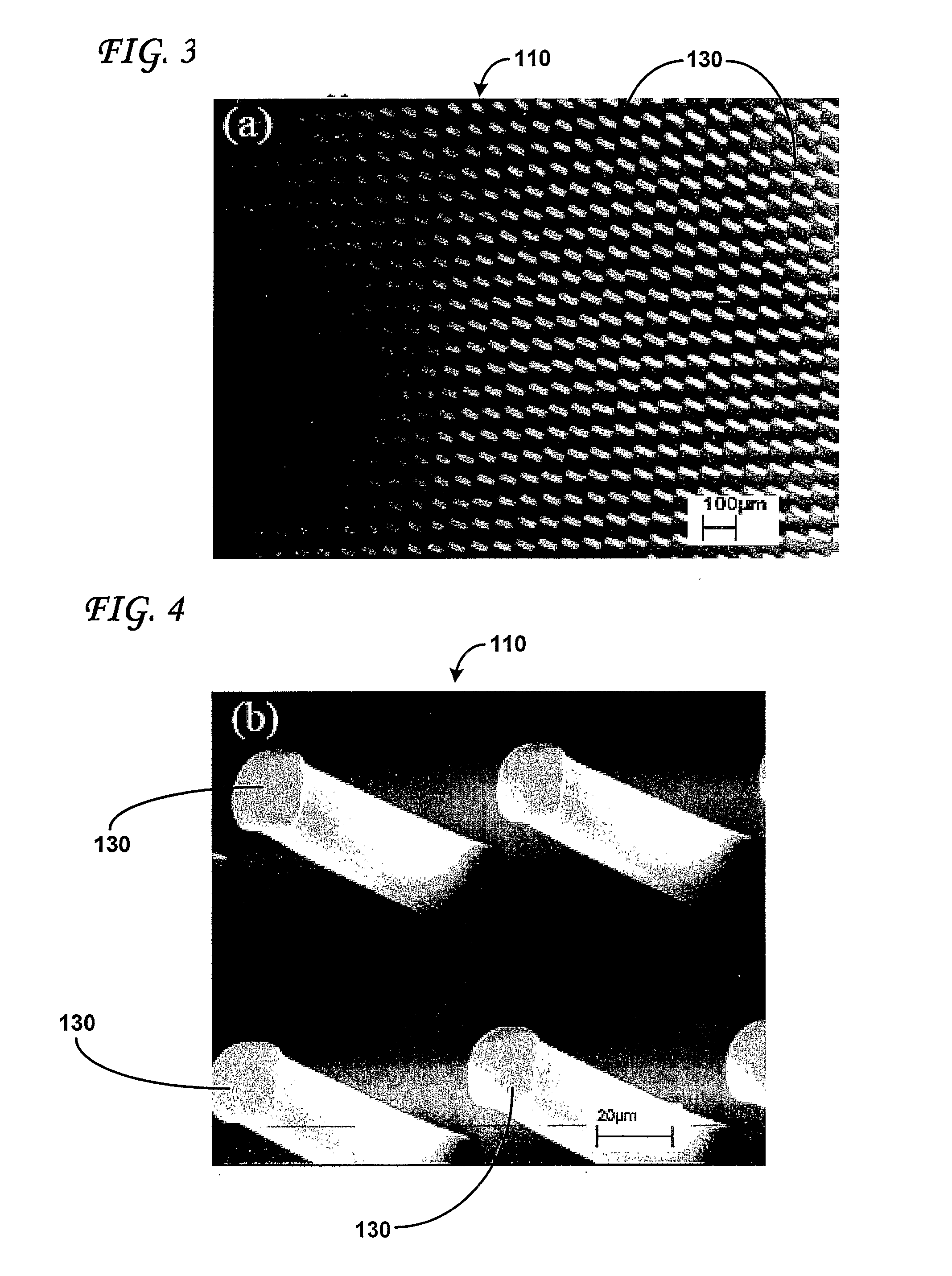 Aligned Carbon Nanotubes And Method For Construction Thereof