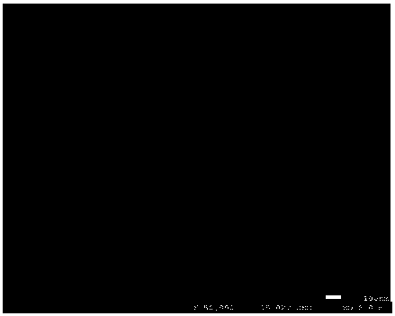 Negative electrode active material, preparation method of negative electrode active material, negative electrode material, negative electrode and lithium ion battery