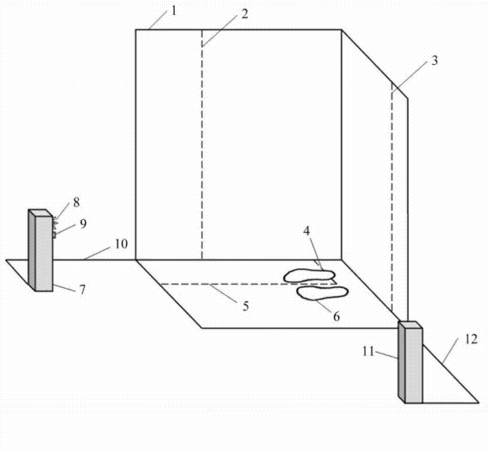 Human body lower limb automatic measuring device and method