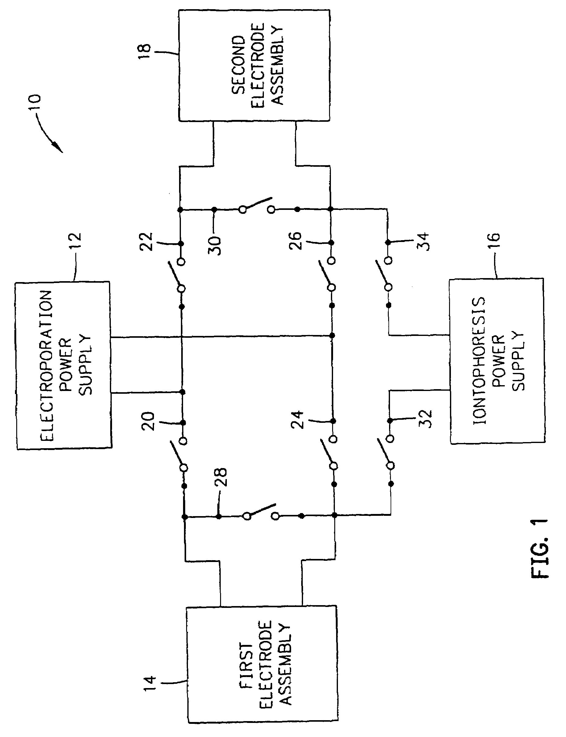 Electrode apparatus and method for the delivery of drugs and genes into tissue