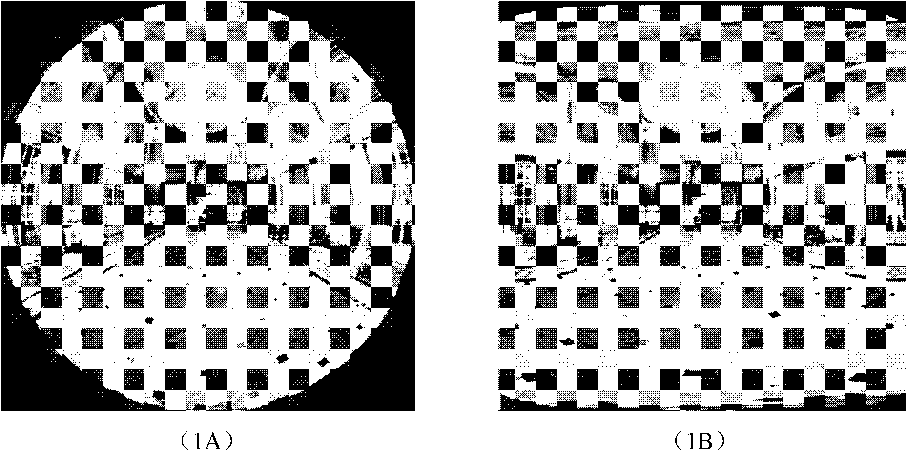 Fisheye image correcting method for image stitching