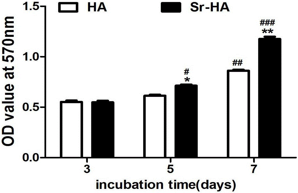 Preparation method of functionally graded porous HA-Sr bone filled support with active interlayer