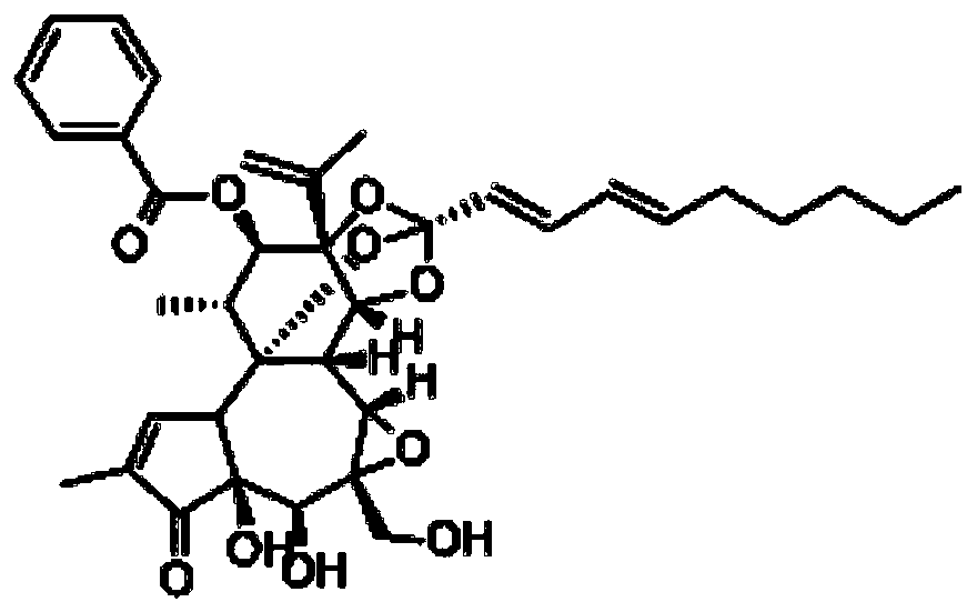 A dry powder inhaler with anti-lung cancer activity