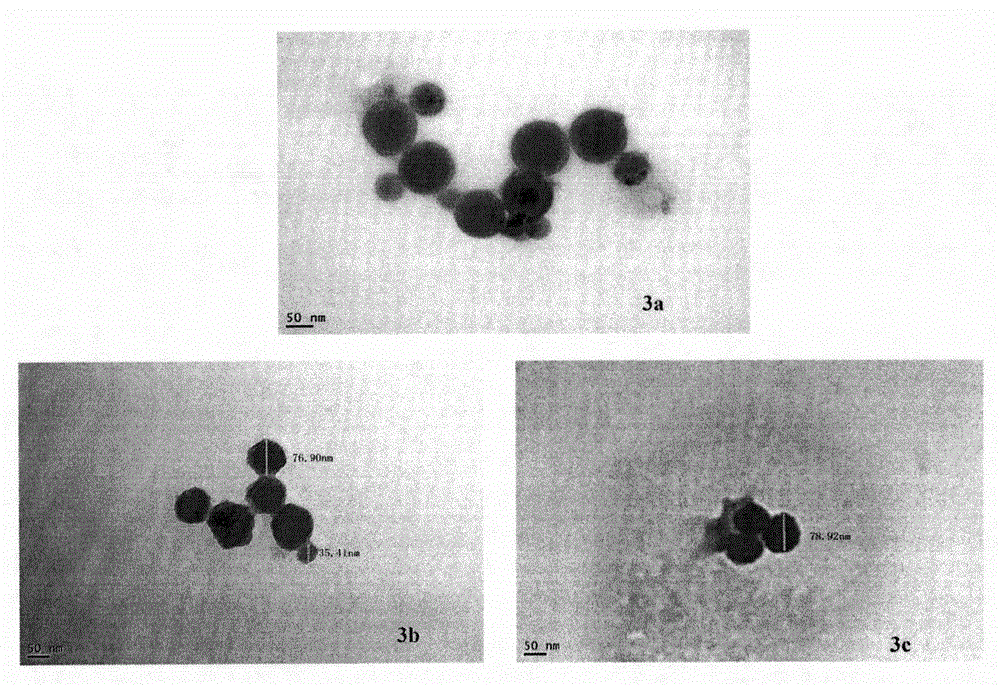RGD modified 5-fluorouracil and preparation method, nanostructure, activity and application thereof