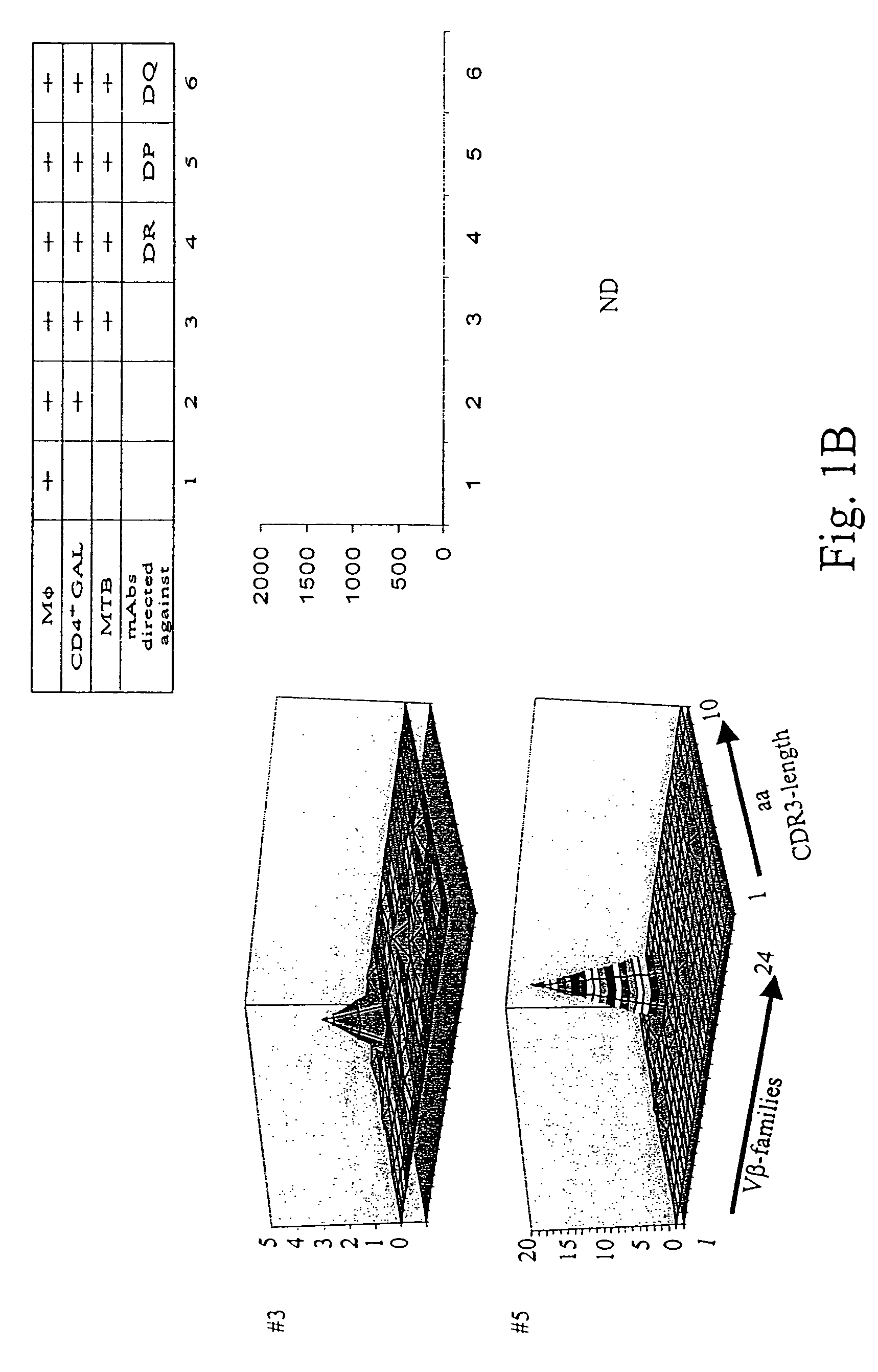 Mycobacterium tuberculosis epitopes and methods of use thereof