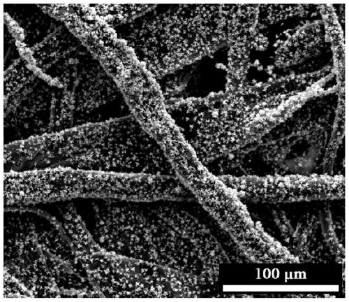 Scratch-resistant superhydrophobic and lipophilic cellulose oil-water adsorption/separation membrane and preparation method thereof