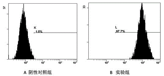 Method for extracting myelomonocyte and differentiating to osteoclast