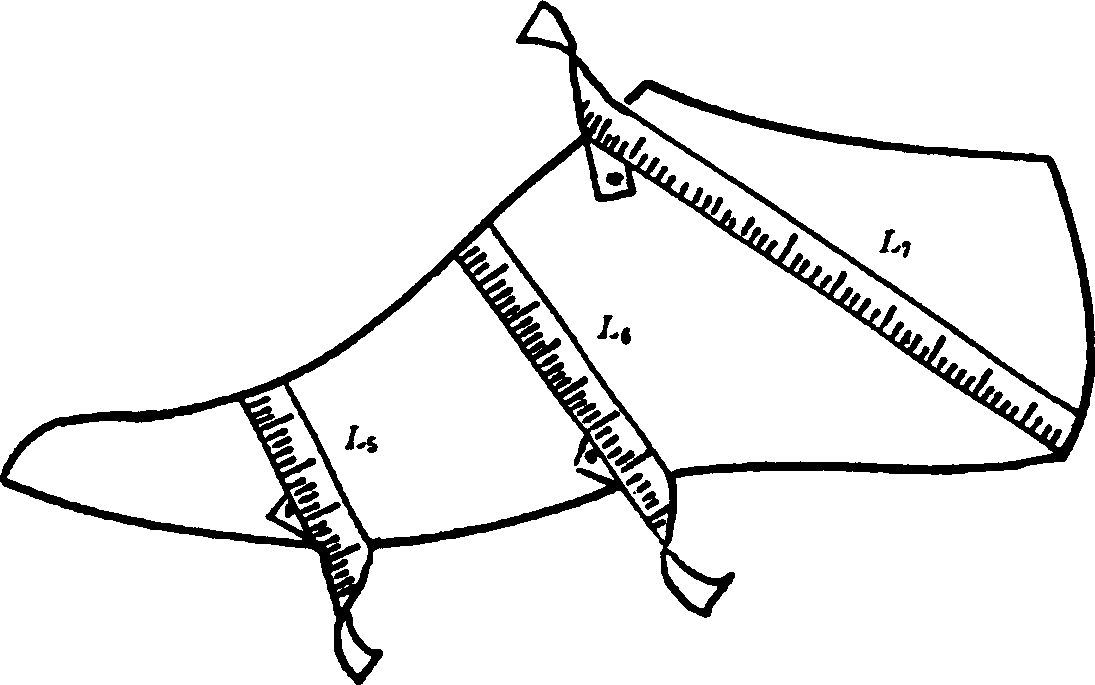 Method for fabricating curved template for testing design of shoetree
