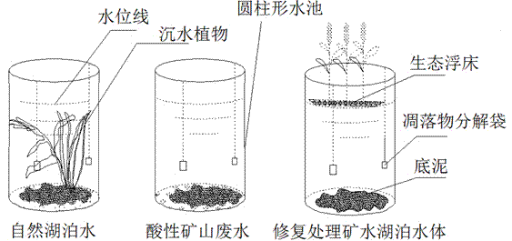 In-situ ecological restoration method of acid mine drainage (AMD) pollution lake/reservoir water body