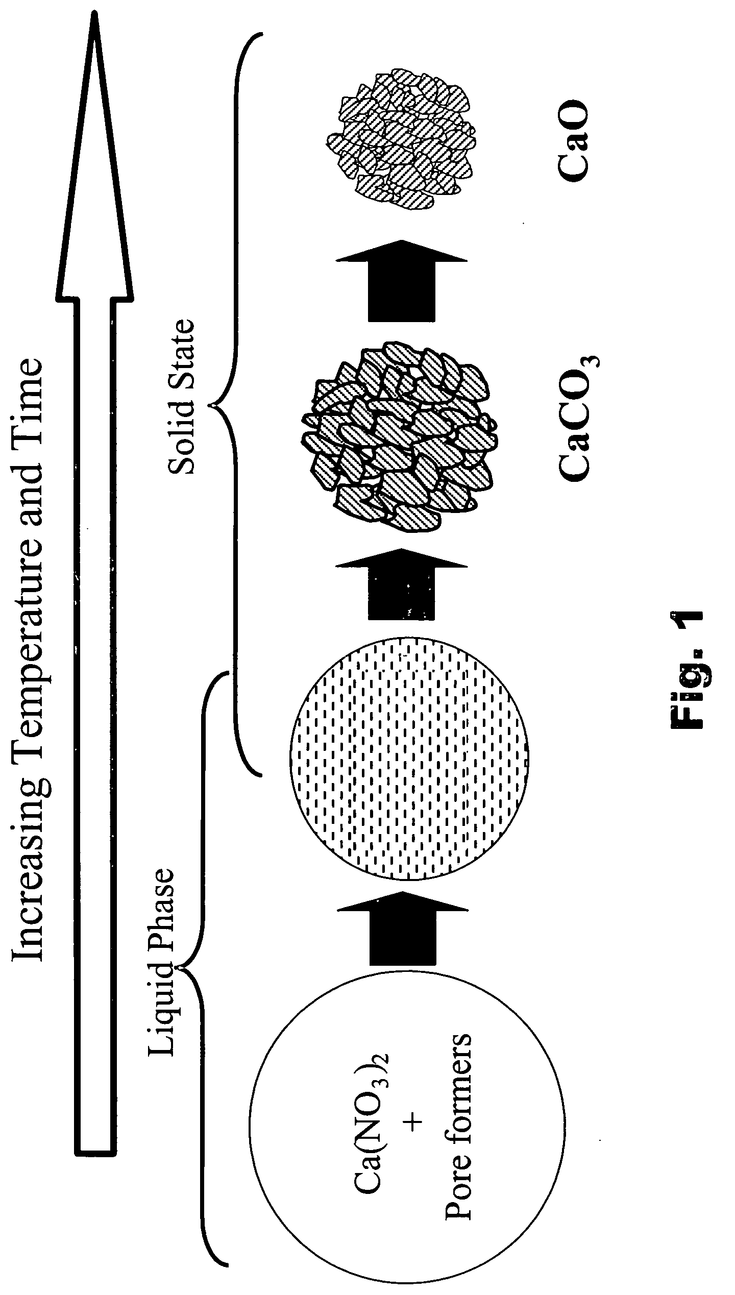 Fuel reformer catalyst and absorbent materials