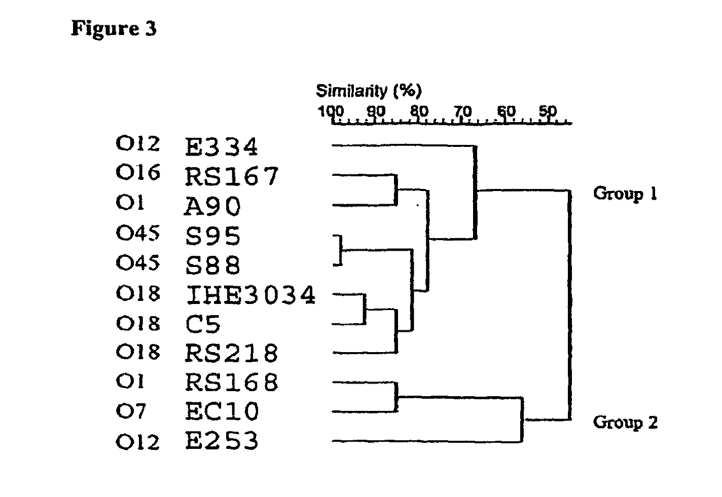 Methods and Compositions for Treating Bacterial Infection