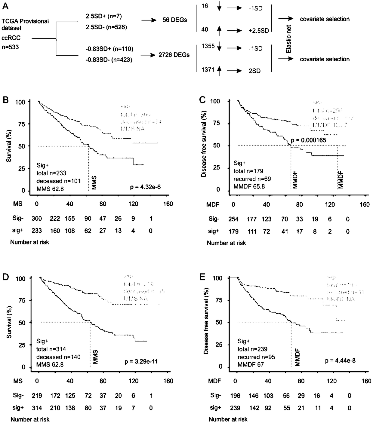 Biomarker and method for predicating relapse and mortality risk of renal cell carcinoma