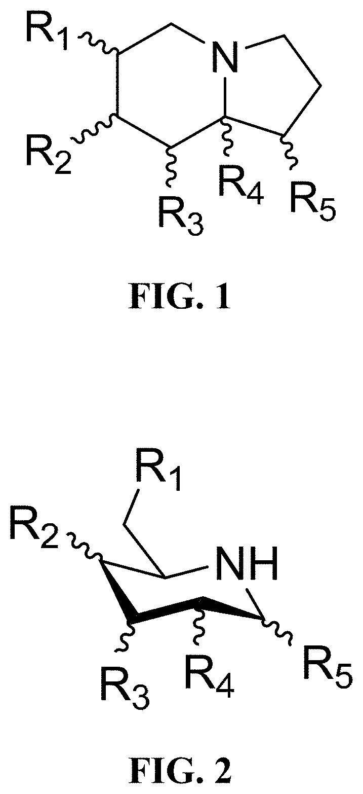 Treatment of human coronavirus infections using alpha-glucosidase glycoprotein processing inhibitors