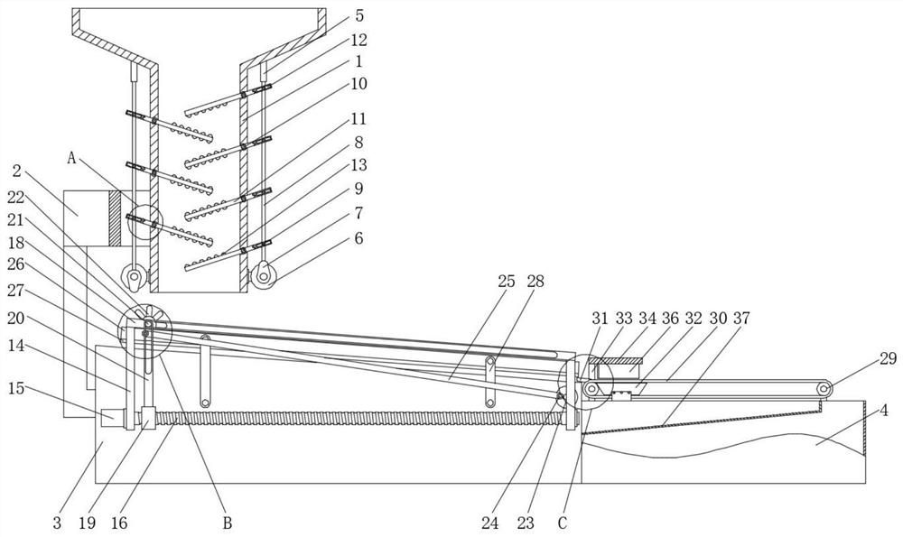 Shelling processing system for camellia seeds for preparation of camellia oil