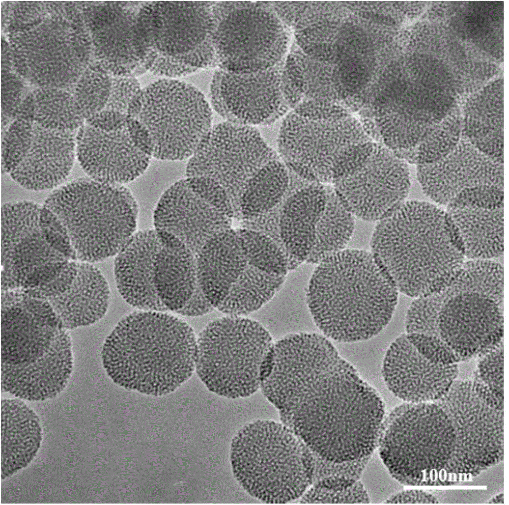 Assembling and disassembling method of functional polymer on surface of nano mesoporous carbon dioxide