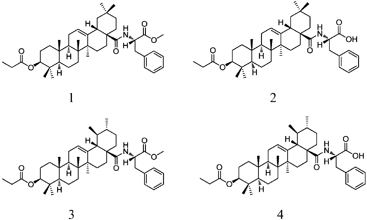 28-(L-phenylalanine)-pentacyclic triterpene derivatives as well as synthesis methods and application thereof