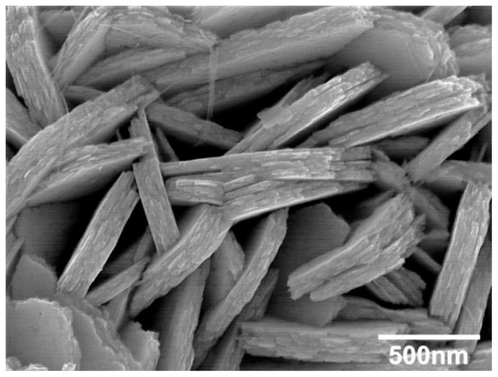 Synthesis method and application of two-dimensional layered tungsten nitride nanoparticles