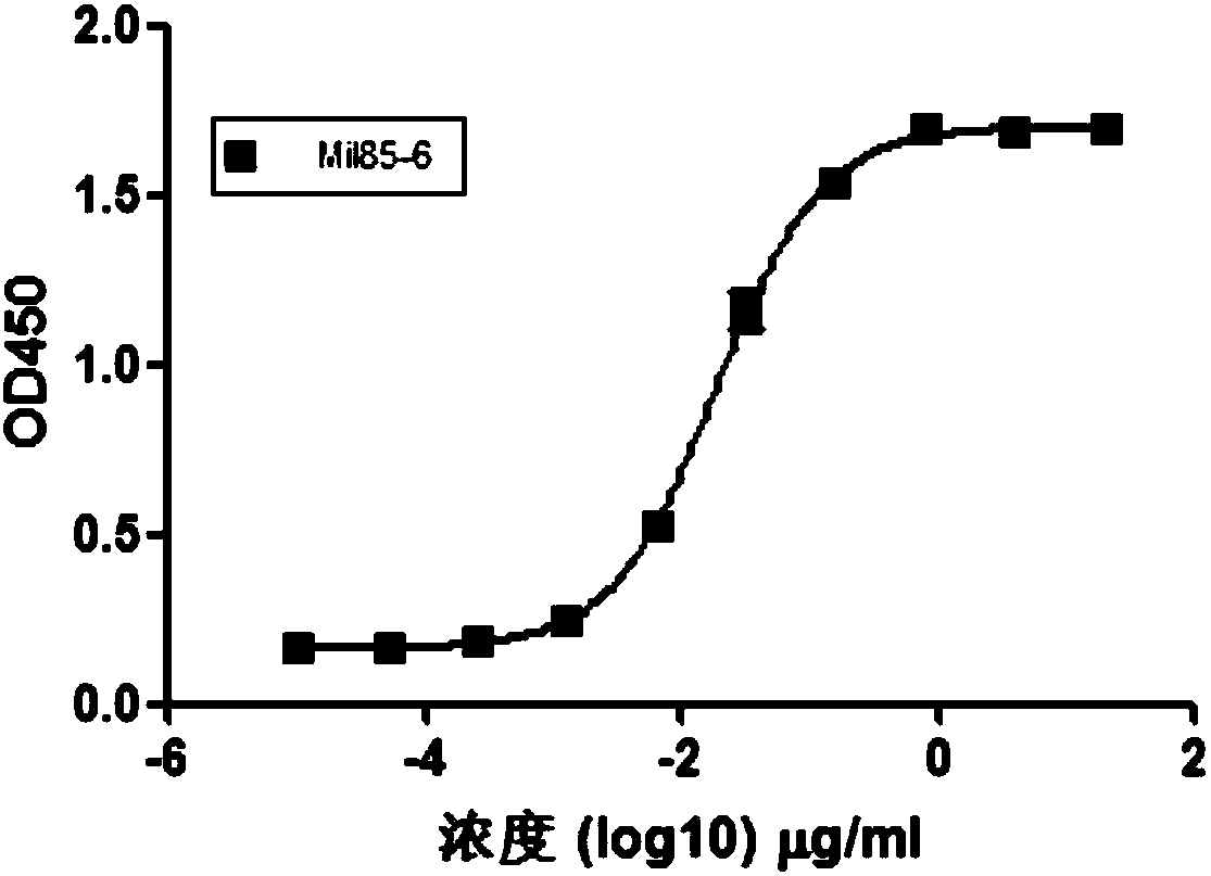 Anti-PD-L1 antibody as well as pharmaceutical composition and application of anti-PD-L1 antibody