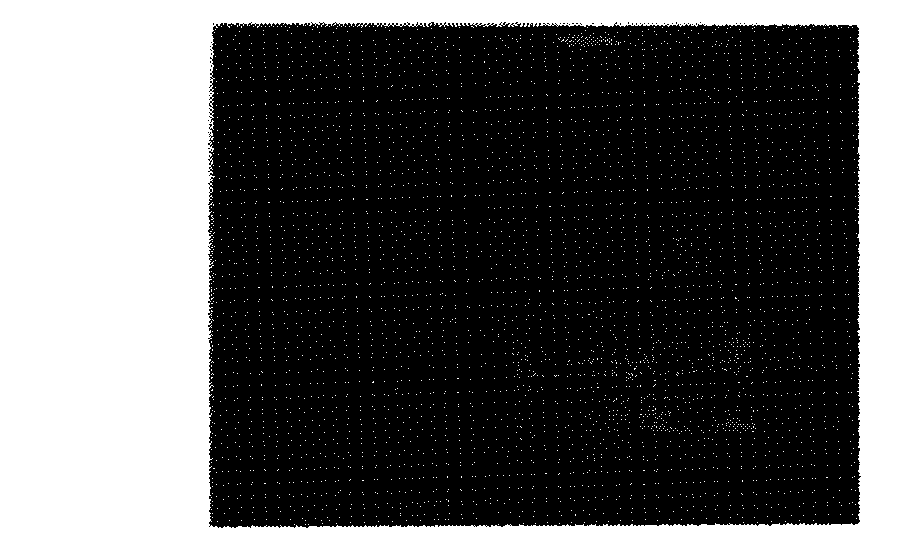 Method for detecting characteristics of video object in finite complex background