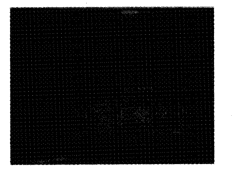 Method for detecting characteristics of video object in finite complex background